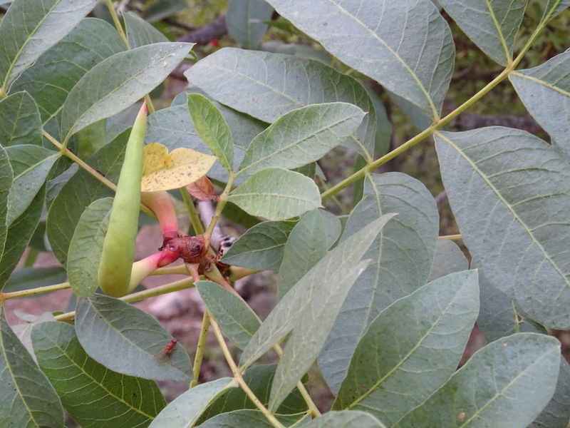 DSC01661