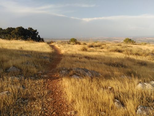 sendero con vistas al valle del Guadalquivir