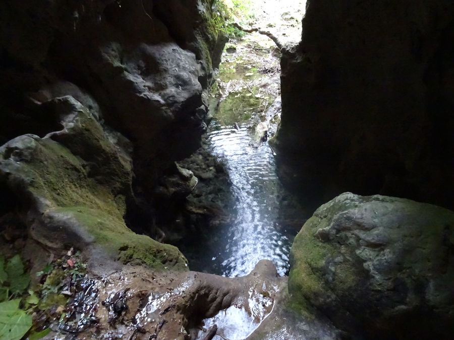 La fuerza del agua en algún momento arrastró árboles hasta esta caldera