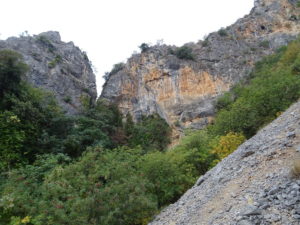 Las calderas jugando al escondite, tras la vegetación