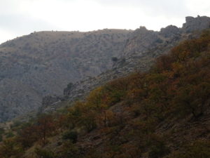 Colores de otoño bajo la Carluca