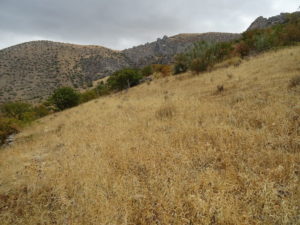 ¿Terreno de labranza en plena sierra?