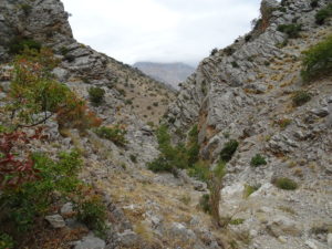 En La Puerta confluyen los barrancos de las Rastras y de las Calderas