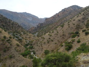 Cauce seco del río Albanchez 