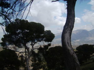 pinar de canava