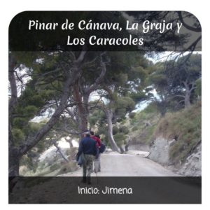 explorando Mágina canava