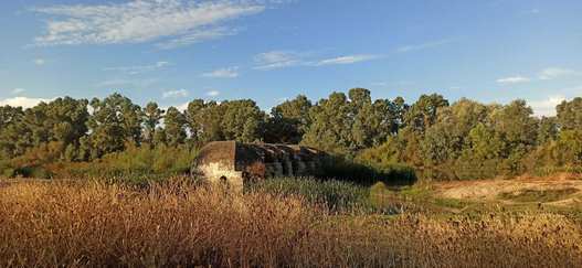 Al norte de Carmona