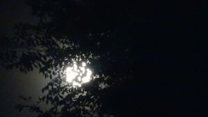 Luna 11 abril 17