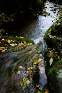 agua cayendo a poza hojas doradas desde arriba chorreras valdepeñas de jaen