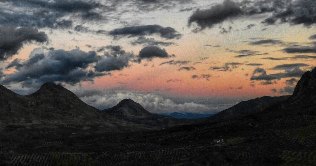 amanecer olivarerosmall