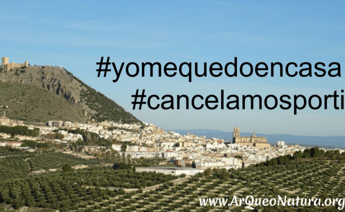 Nota Cancelación toda actividad de manera indefinida
