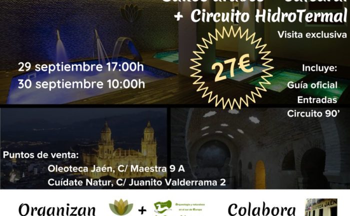 cartel lanzamiento visitaspa