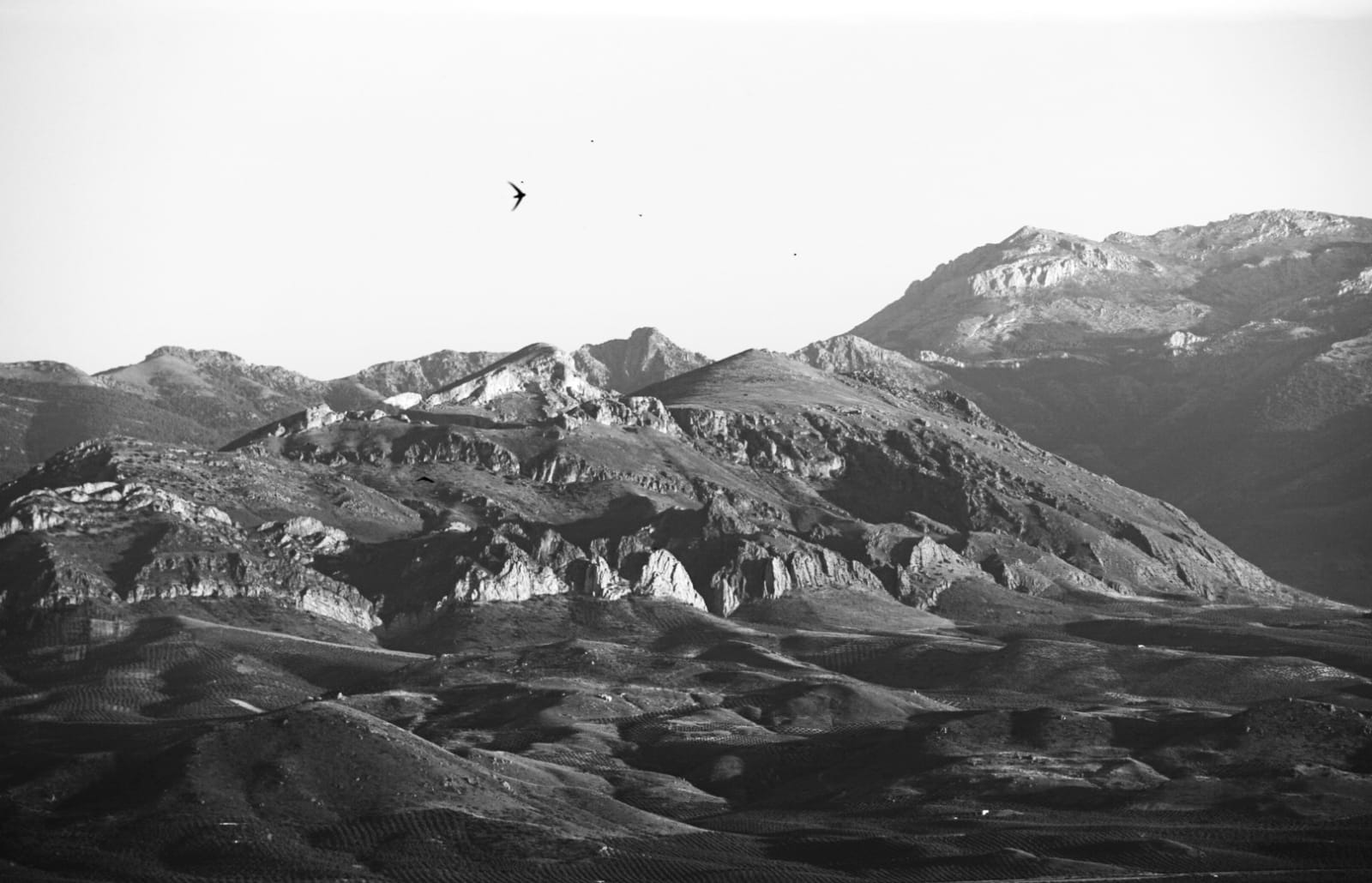 Bedmar, Paleomágina y Paraje de Cuadros