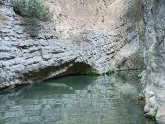 wp 1599426305973